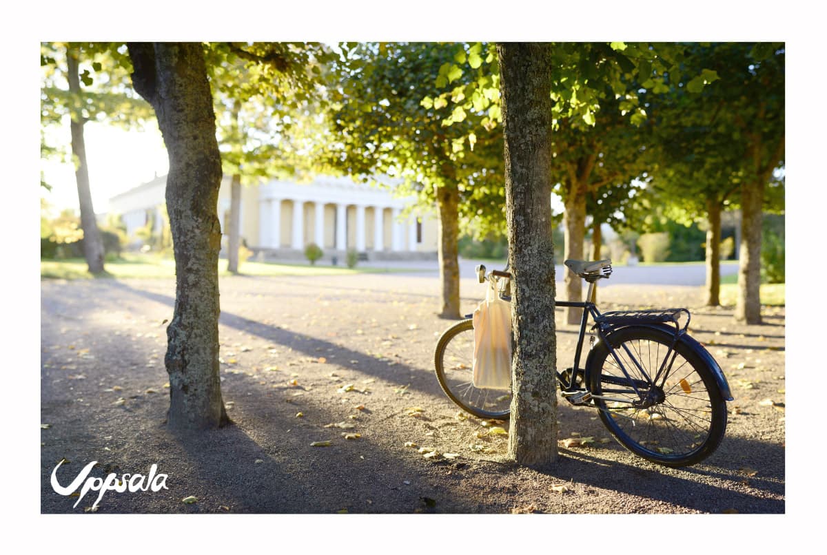 Botaniska trädgården